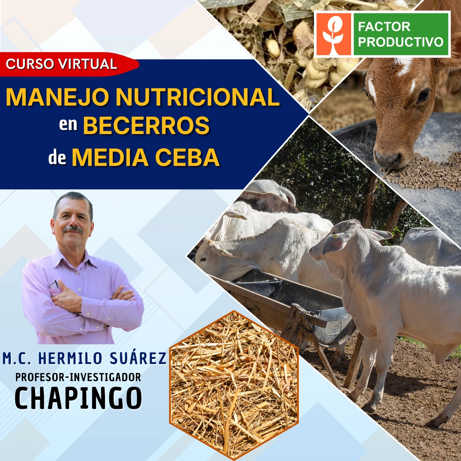 Programa del curso Manejo Nutricional en Becerros de Media Ceba